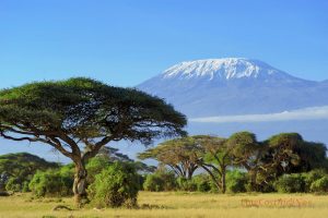 mount-kilimanjaro-kenya