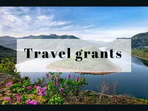 travel grants