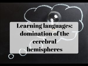 как полушария влияют на изучение иностранных языков